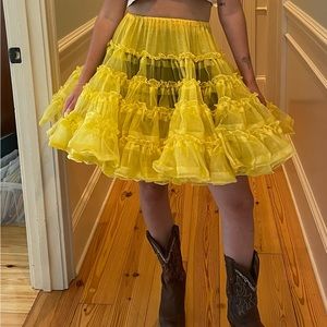 Vintage 1950s petticoat by label Ruthad of Detroit.